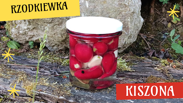Kiszona rzodkiewka