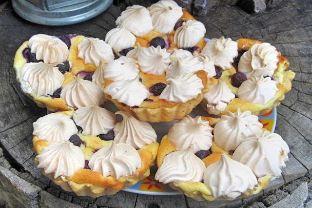 Mini SERNICZKI z borówkami i bezą-pyszne babeczki pieczone z serem-idealne na każdą okazję+FILM