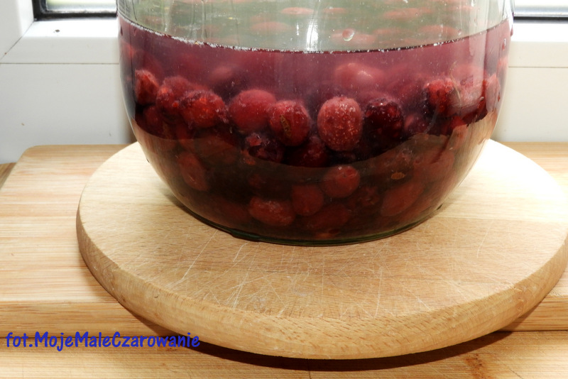 Nalewka z derenia 18+