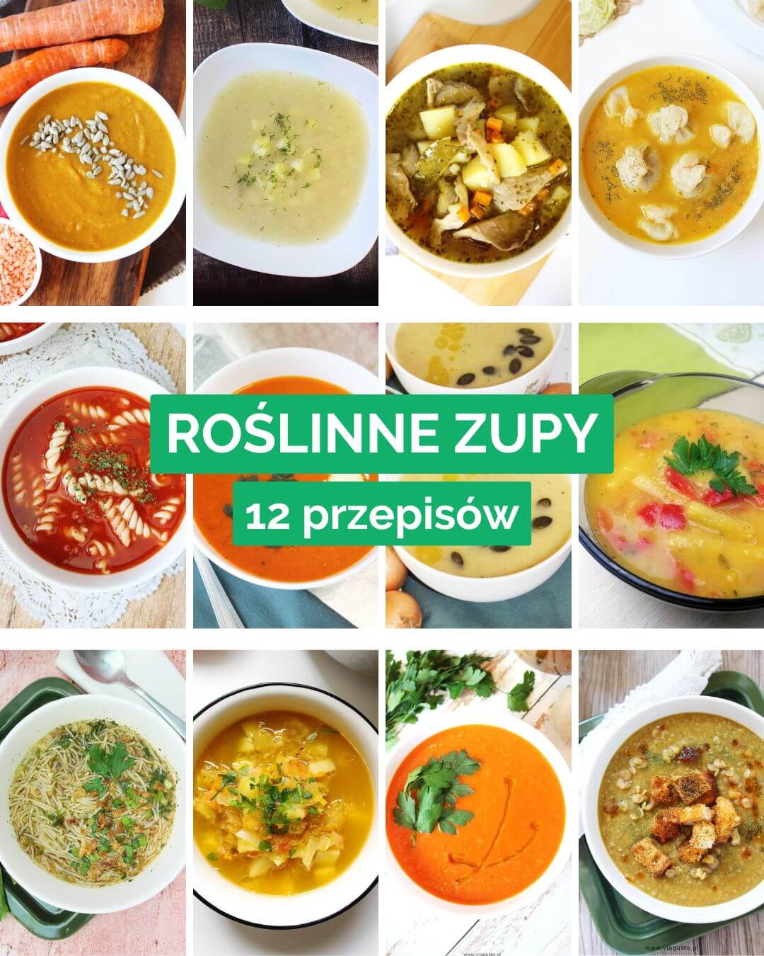 Wegańskie zupy – 12 ulubionych przepisów