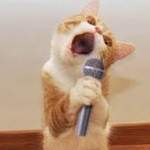 Zdjęcie profilowe kira1337