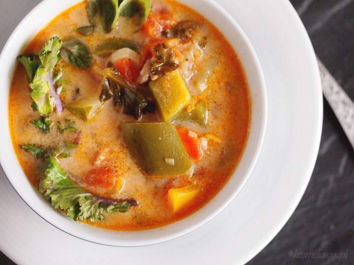 Zupa warzywna z mięsem mielonym / Meaty vegetable soup
