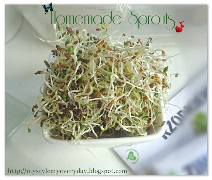 Szczupła – piękna – zdrowa czyli kiełkujemy – Green Sprouts