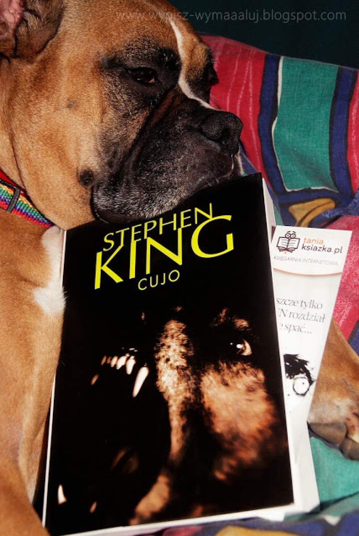 CUJO – Stephen King – wściekłe myśli psa po kontakcie z nietoperzem.