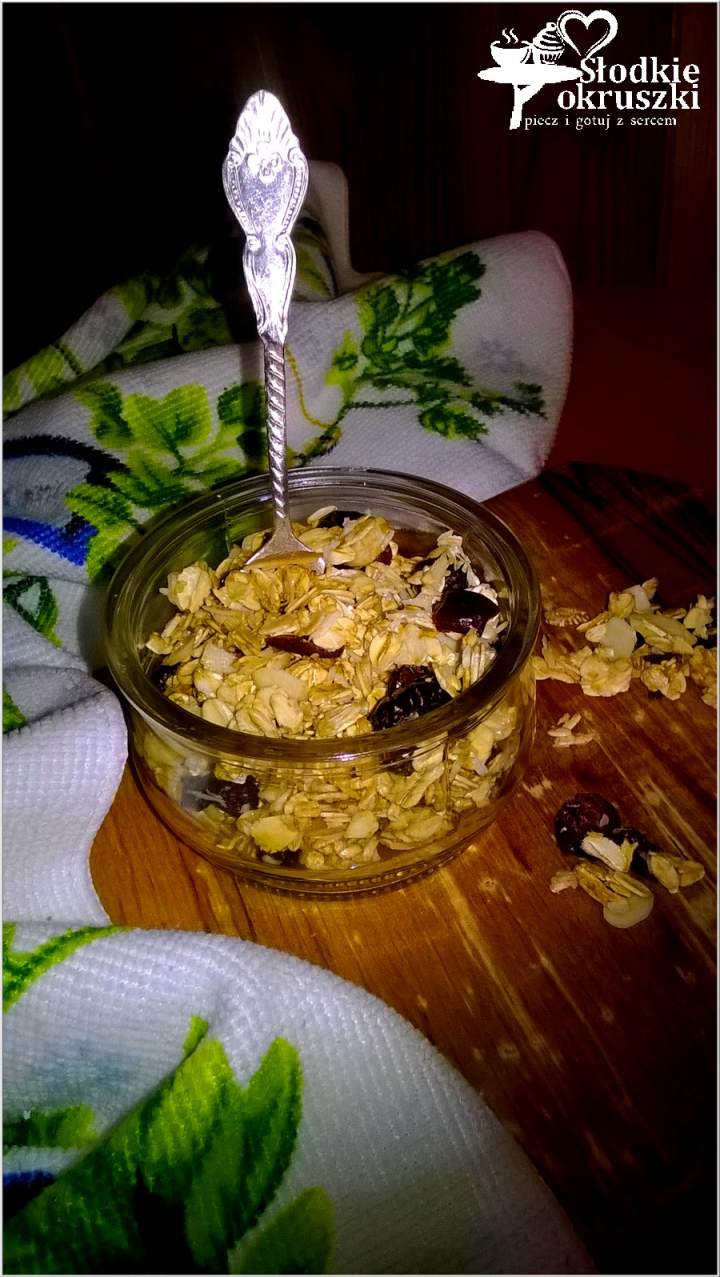 Domowa granola w kilka chwil