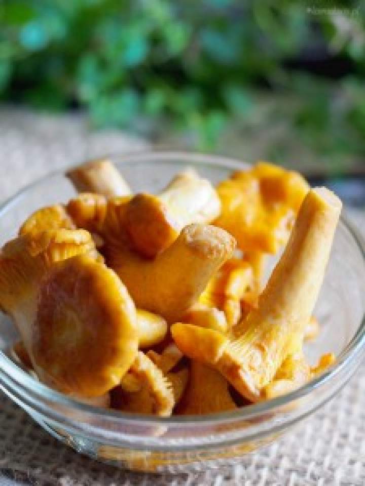 Jak oczyścić kurki / How to clean chanterelles