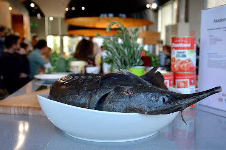 Relacja z warsztatów kulinarnych Akademii Smaku Bosch – ryby i owoce morza