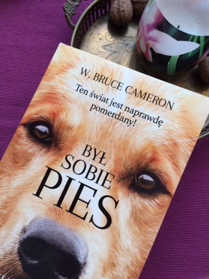 „Był sobie pies” – recenzja książki (przedpremierowo)