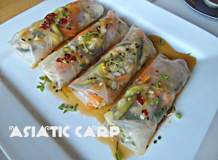 Karp po azjatycku – Asiatic carp