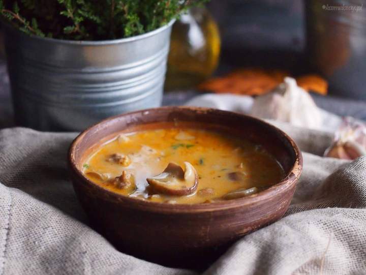 Węgierska zupa z mięsem i grzybami / Hungarian mushroom and meat soup