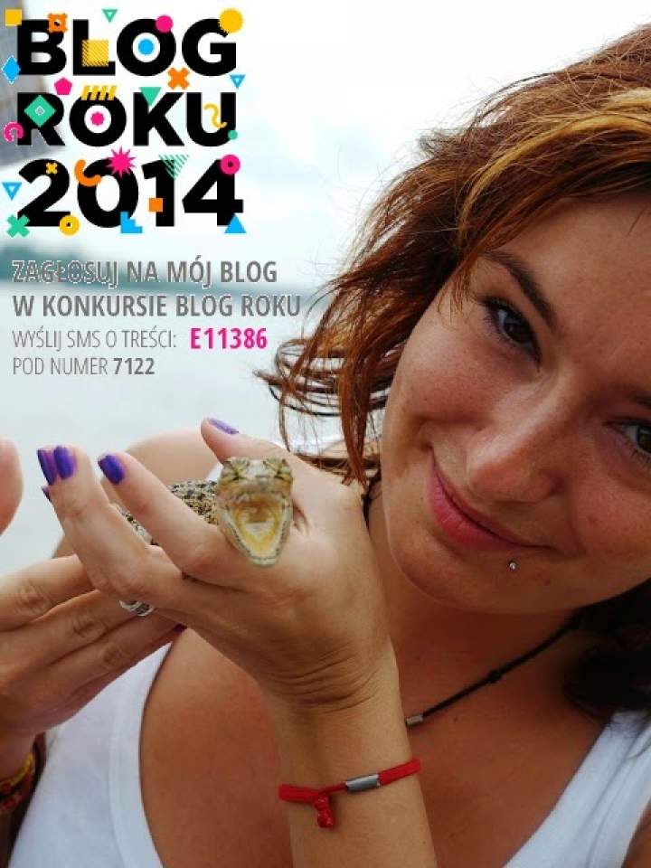 BLOG ROKU 2014