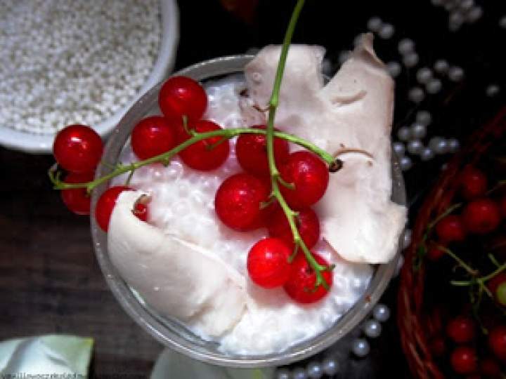 Budyń z tapioki z młodym kokosem i czerwoną porzeczką (Vege & Gluten free)