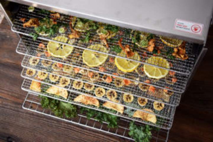 Dehydrator Byzoo Scorpion – recenzja!