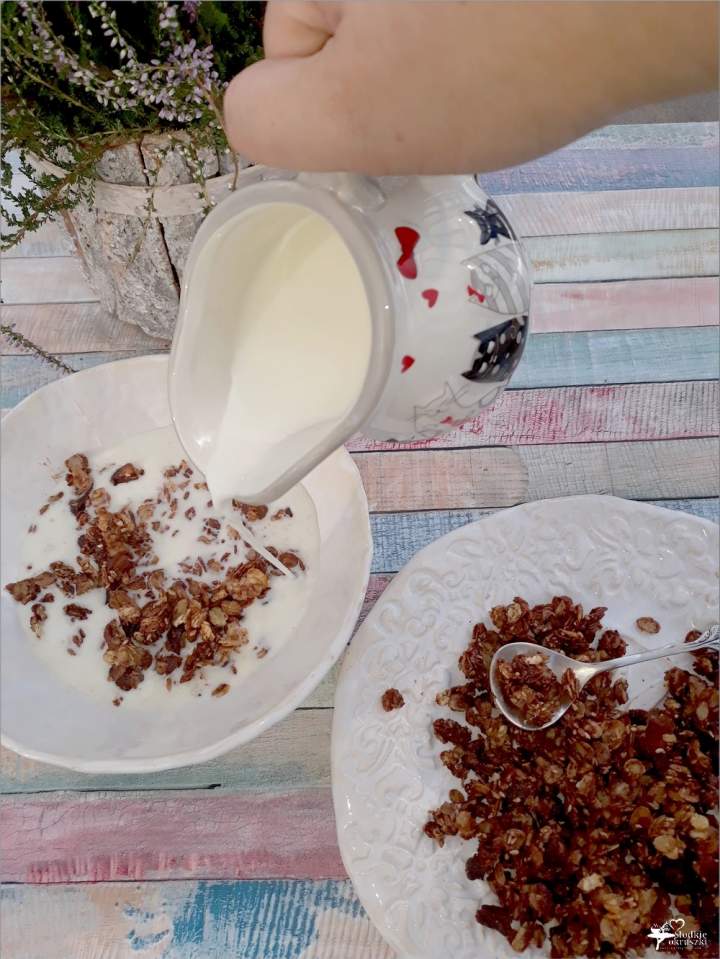 Domowa czekoladowa granola (w kilka chwil)