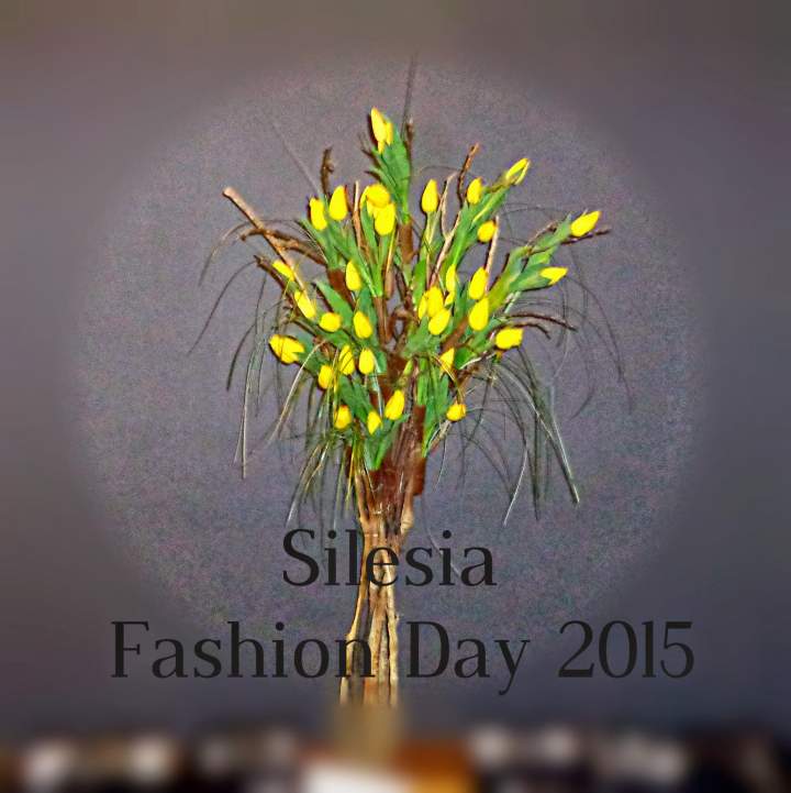 Silesia Fashion Day