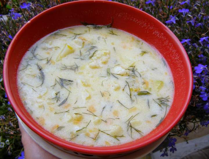 pyszna koperkowo-kalafiorowa zupa na maśle i mleku…