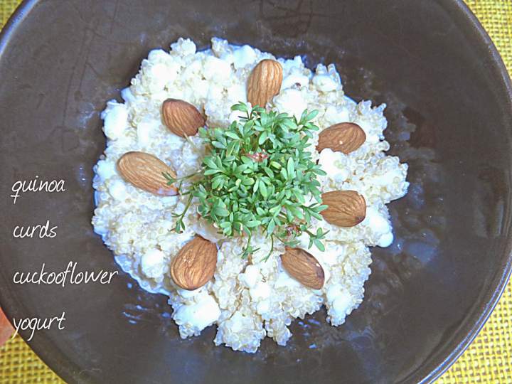 Komosa ryżowa z twarogiem – Quinoa and curd