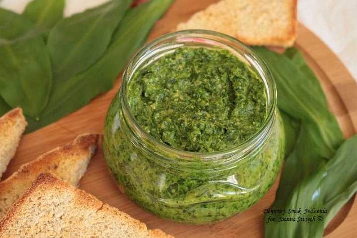 pesto niedźwiedzia