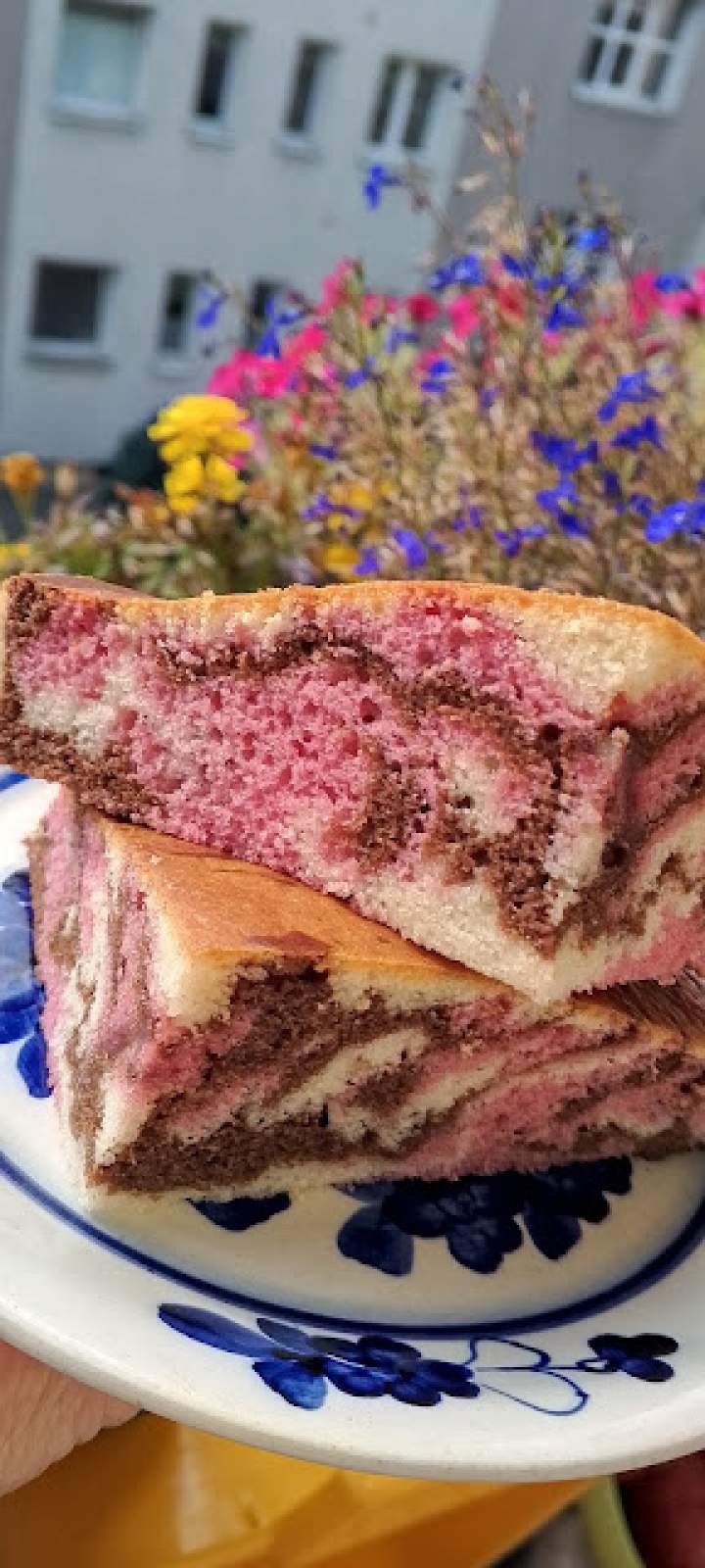 zebra z airfryer Cecotec  Duoheat 6500…