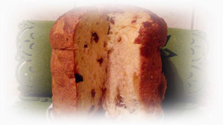 Babka Panettone