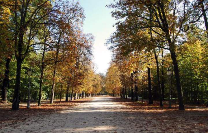 Podróż do… – Parco Ducale w Parmie