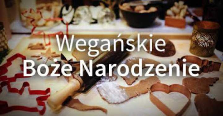 Wegańska Wigilia – relacja z warsztatów kulinarnych