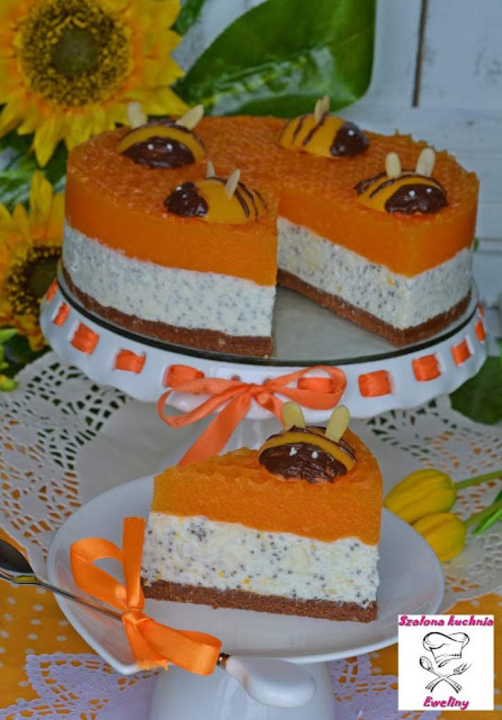 Egzotyczny sernik z chia i cytrusowym musem